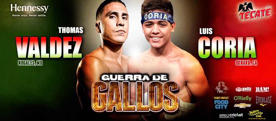 Guerra De Gallos - Live Boxing at AVA Amphitheater