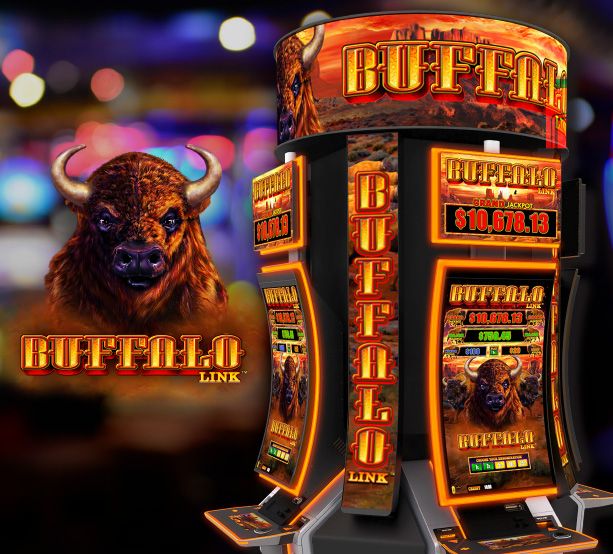 Buffalo Link at Casino Del Sol