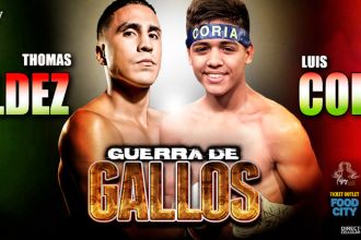Guerra De Gallos - Live Boxing at AVA Amphitheater