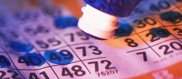 bingo-dauber